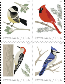 [Birds in Winter, type ]