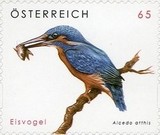 [Animal Protection - Self-Adhesive, type COC]