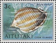 [Sea Shells and Corals, type CI]