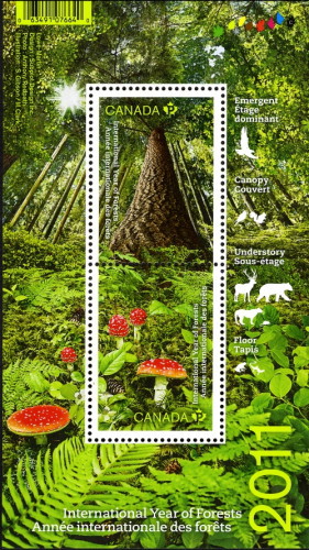 [International Year of Forests, type ]