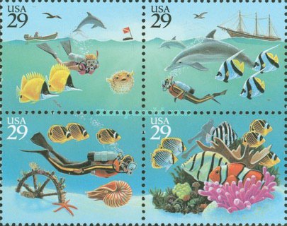 [Marine Life - Wonders of the Sea, type ]