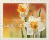 [Daffodils - Self-Adhesive, type CHW1]