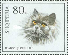 [Cats, type YUU]