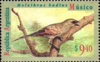 [Birds, type BWO]