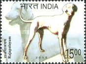 [Dog Breeds, type CHB]