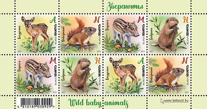 [Fauna - Wild Baby Animals, type ]