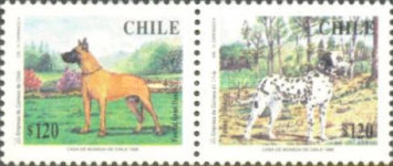 [Dogs, type BHF]