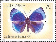 [Butterflies, type BGF]