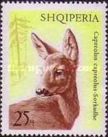 [European Roe Deer, type AAO]