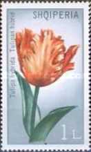 [Flowers - Tulipans, type ALF]