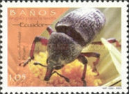 [Flora and Fauna, type CWQ]