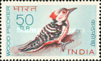 [Birds, type KA]