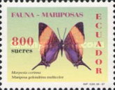 [Butterflies, type CIX]