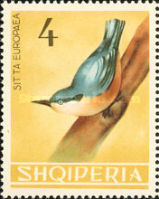 [Birds, type PS]