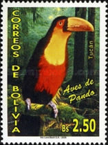 [Birds of the District of Pando, type BGN]