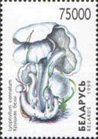 [Mushrooms, type KQ]