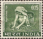 [Local Motifs, type HG]