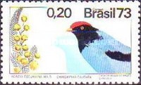 [Tropical Birds and Plants, type AYJ]