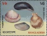 [Sea Shells, type PT]