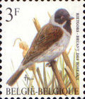 [Birds, type BQD]