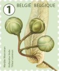 [Definitives - Tree Fruits and Nuts, type FHL]