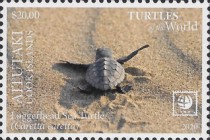 [Marine Life - Turtles of the World, type AAT]