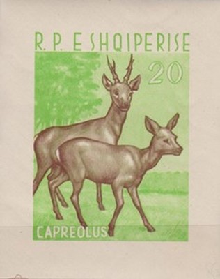 [Animals, type ]