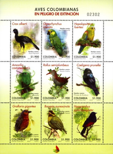 [Endangered Colombian Birds, type ]