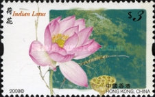 [Flowers, type AXF]