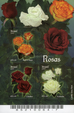 [Roses, type ]