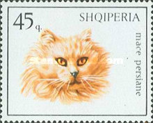 [Cats, type YRR]