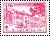 [The struggle against Tuberculosis, type PS]