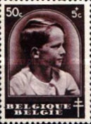 [The struggle against Tuberculosis, type FS3]