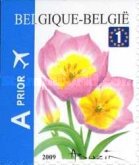[Flowers - Tulipa bakeri - Self-Adhesive Stamps, type DPE]