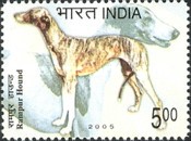 [Dog Breeds, type CGZ]
