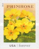 [Vintage Seed Packets, type GID]
