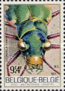[Antwerp Zoo - Insects, type AOF]