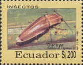 [Insects, type CEC]