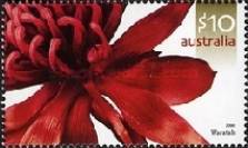 [Australian Wildflowers, type CLR]