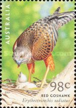 [Birds of Prey, type BOR]
