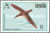 [Birds, type YM]