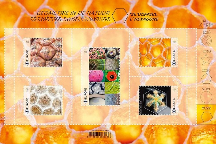 [Geometry in Nature - The Hexagon, type ]