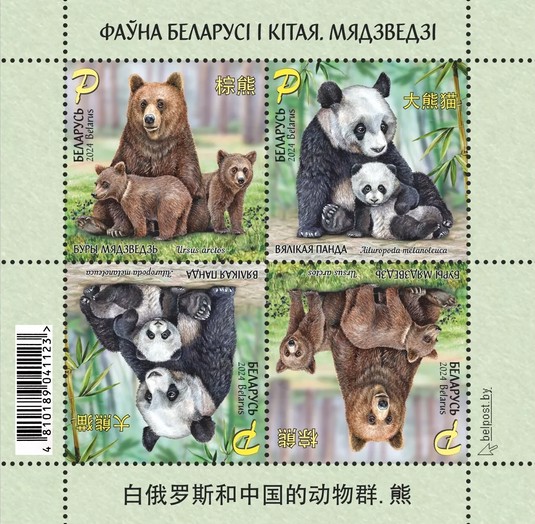 [Fauna of Belartus and China - Bears, type ]