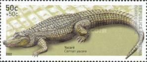 [Reptiles, type CQA]