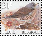 [Birds, type CDN]