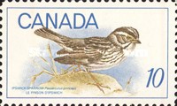 [Birds, type MM]