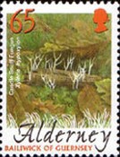 [Mushrooms, type HU]