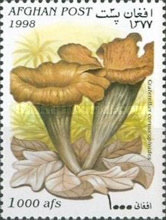 [Mushrooms, type API]