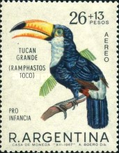 [Child Welfare - Birds, type ZD]