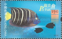 [Aquarium Fish, type AIV]
